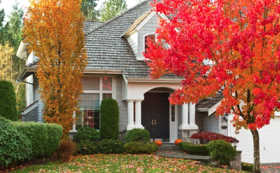 Make the Most of the Fall Real Estate Market