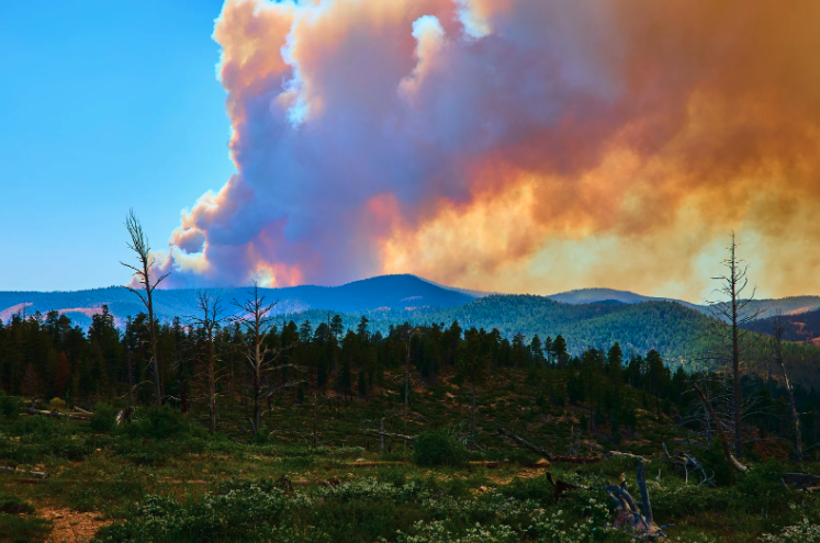 When Climate Risk Comes Home